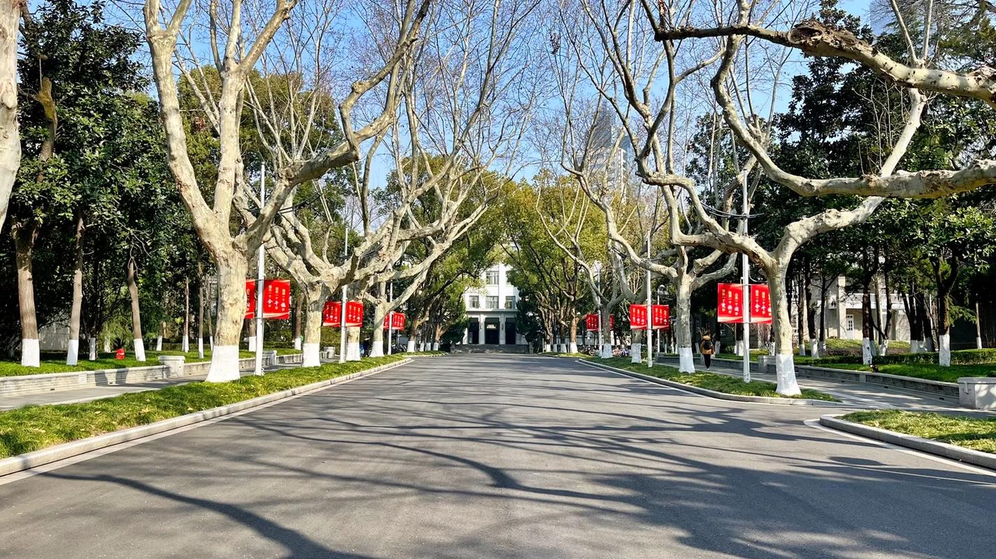 Нанкинский университет