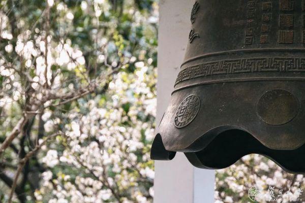 Университет Фудань