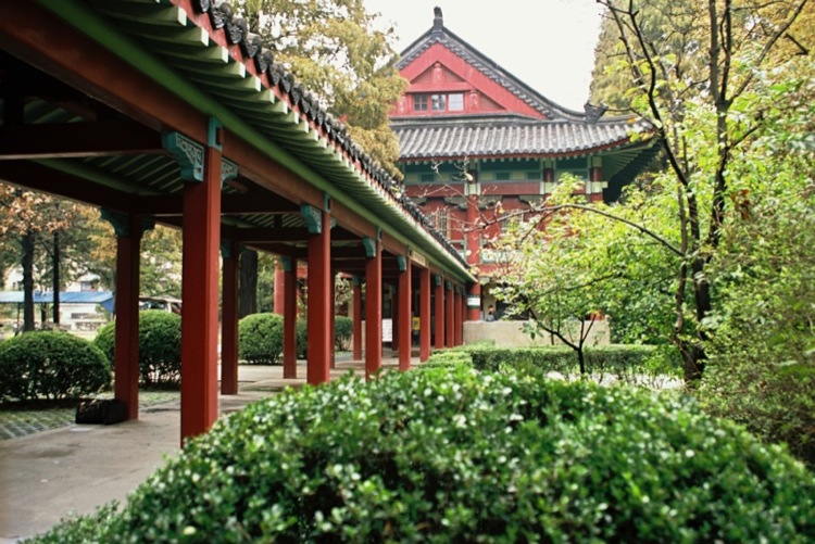 CampusChina photo 11