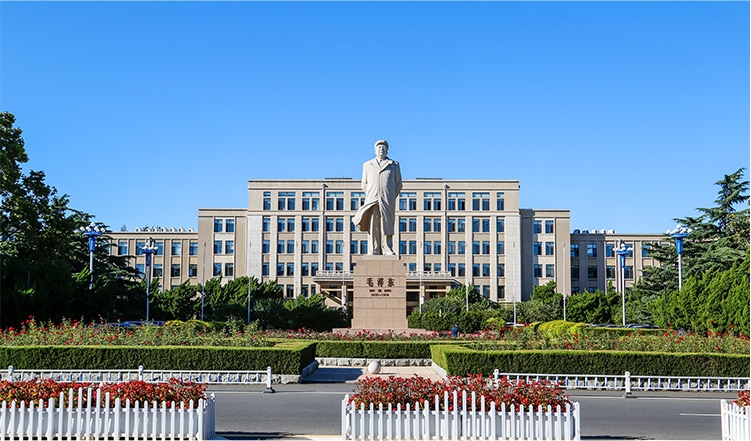 Recovered orphan image (token restore)