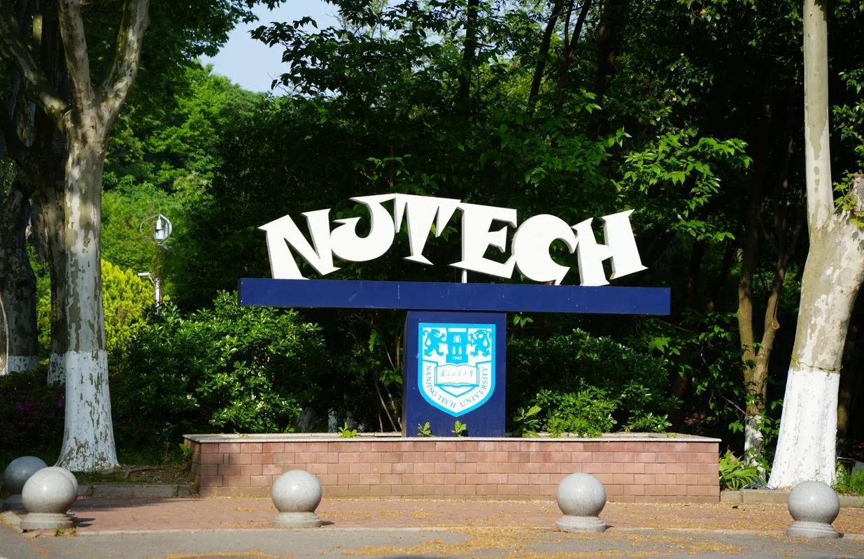 Recovered orphan image (token restore)