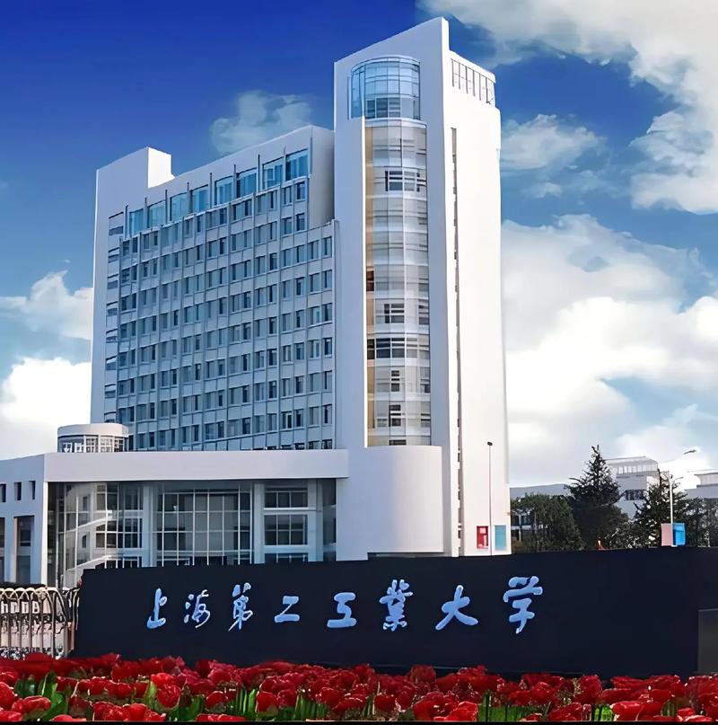 Шанхайский университет науки и технологий